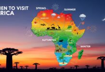 Best Time to Visit Africa: Seasons, Safari, and Travel Guide 2026 Best Time to Visit Africa: Seasons, Safari, and Travel Guide